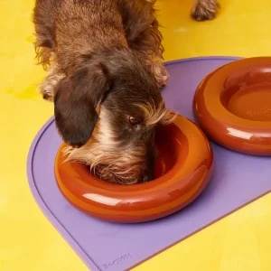 HotDog Pets Keramiknapf